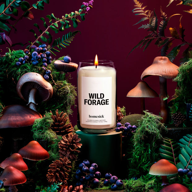 Lifestyle image of a candle surrounded by forest elements in a dark scene