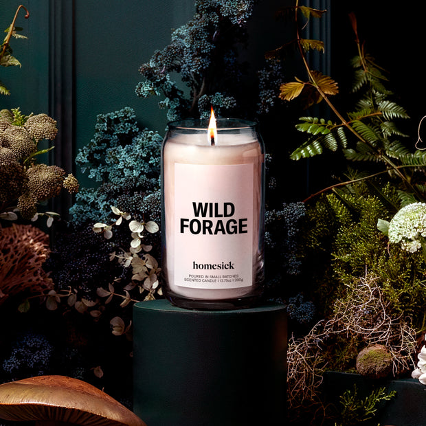 Lifestyle image of a candle surrounded by forest elements in a dark scene