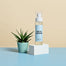 Left to right, a small spiky cactus inspired a mint container with the New Home Room Spray on a white pedestal.