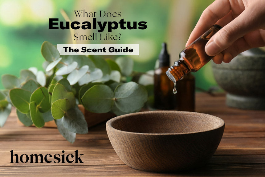 What Does Eucalyptus Smell Like? The Scent Guide